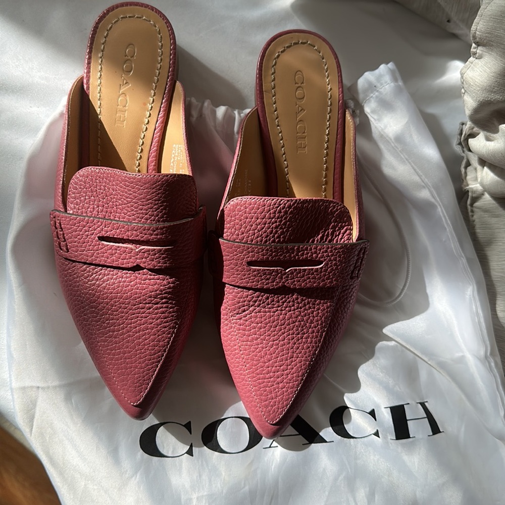Coach Nova Slide in Rose